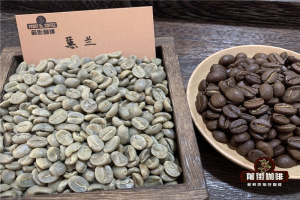 甜感美式选豆：黑咖啡看清爽，奶咖看厚度