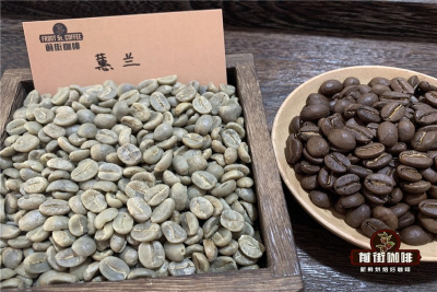 耶加雪啡SOE咖啡豆推荐：花多少钱，杯中差多少