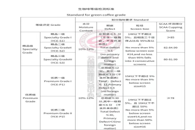 看懂蓝山风味不用背产区！从Dirty到冷萃反向挑豆超简单