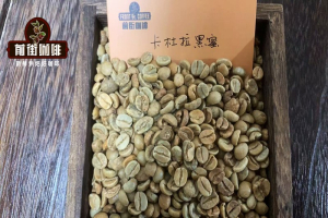 从平价实用到风味升级：开店用咖啡豆的价位段特征与搭配