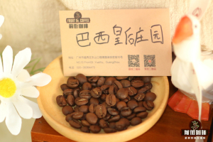 深烘咖啡豆冲煮教程｜深烘咖啡豆做手冲黑咖啡会苦吗？可可风味深烘精品咖啡豆有哪些推荐？