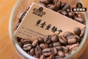 摩卡壶冲煮图解｜怎么做出油脂丰富的摩卡壶咖啡？适合摩卡壶的中深烘焙单品咖啡豆有哪些推荐