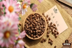 埃塞西达摩日晒花魁｜咖啡单品豆花魁/瑰夏/艺伎是同个咖啡品种吗？花魁和Geisha有何区别？