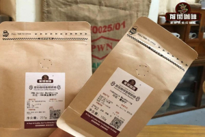 摩卡壶适合的咖啡豆推荐：看懂产区与处理法
