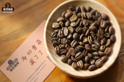 手冲豆种类介绍｜手冲咖啡为何多是浅烘豆？适合新手入门的手冲咖啡浅烘单品豆有哪些推荐
