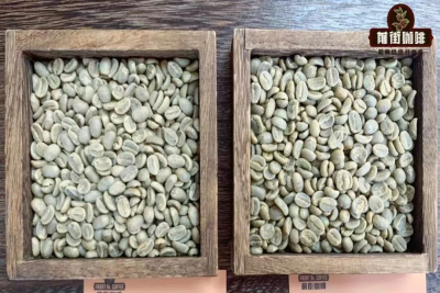 PNG coffee｜巴布亚新几内咖啡为何有小蓝山之名？西格里庄园天堂鸟水洗铁皮卡风味特色是什么？