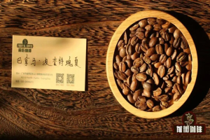 瑰夏Geisha是什么咖啡｜为何瑰夏咖啡豆总强调巴拿马？哪些咖啡产区种植了瑰夏？巴拿马瑰夏的独特之处是什么？