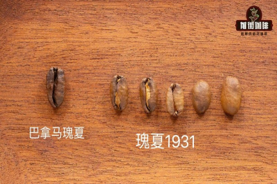 甜感咖啡豆怎么买：百元内到进阶价位的选择思路
