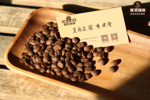 单一产地浓缩咖啡｜新手入门SOE咖啡怎么选豆子才好喝？高人气风味独特的SOE单品浓缩咖啡豆推荐