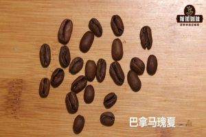 咖啡豆为什么有的贵有的便宜：价格差异的真相