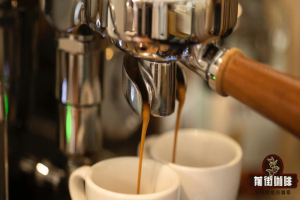 咖啡館同款espresso做法｜意大利濃縮咖啡有什麼特點？義式濃縮怎麼喝？哪類義式豆適合做濃縮咖啡？