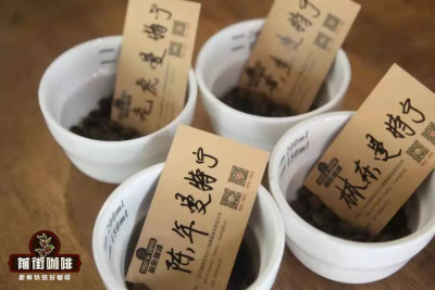 印尼苏门答腊曼特宁咖啡豆｜曼特宁和PWN黄金曼特宁咖啡豆的冲煮风味