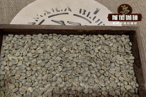 高性价比的耶加雪菲咖啡豆推荐：看懂产区与处理法