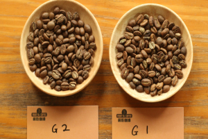 咖啡生豆等级介绍｜各国咖啡生豆等级分级制度G1、G2、AA、PB、SHB咖啡豆特点区别风味口感对比