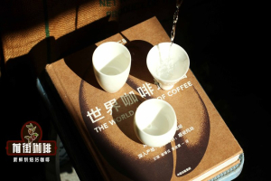 摩卡壶油脂感咖啡豆怎么选：黑咖啡与奶咖指南