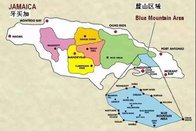 做拿铁总是寡淡像水？学会挑糖浆感咖啡豆，口感立刻浓郁顺滑