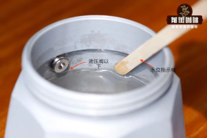 喝SOE总觉得像喝果茶？教你挑出糖浆感浓厚的单品豆