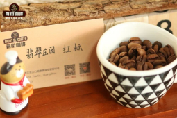 瑰夏咖啡产地｜巴拿马与埃塞俄比亚的瑰夏有何不同？瑰夏品种有哪些？巴拿马翡翠瑰夏等级介绍