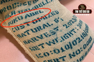 怕苦又馋奶咖？选对果香咖啡豆，在家也能喝出浓郁糖浆感