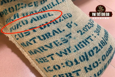 怕苦又馋奶咖？选对果香咖啡豆，在家也能喝出浓郁糖浆感