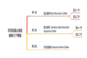 适合新手的耶加雪菲入门款有哪些：看懂产区与处理法