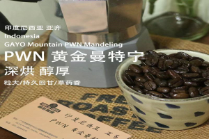 中深烘焙挂耳咖啡推荐｜挂耳黑咖啡太苦能加糖加奶吗？印尼曼特宁单品咖啡挂耳包怎么冲才好喝？