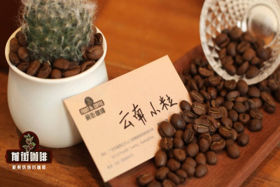 选一支豆子承包四种冰喝法！看你常喝哪杯直接倒推选豆