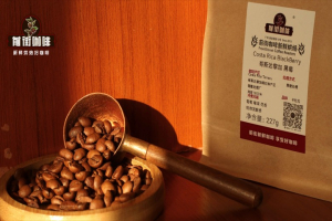 果味咖啡豆推荐怎么选：不同烘焙程度带来的杯感变化