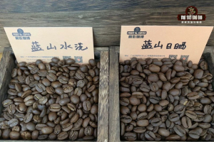低咖啡因手冲豆，黑咖啡与奶咖这样选