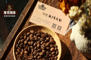 花果香豆器具指南：按萃取器具挑对果酸豆