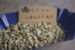 手握经典的锥形滤杯却不知泡什么？四个日常时刻教你选对合拍风味
