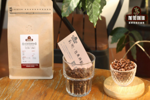 值得回购口粮豆清单｜新手入门怎么选家用咖啡豆？适合手冲/意式浓缩萃取的精品咖啡豆有哪些？