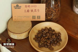 云南小粒咖啡豆卡蒂姆和铁皮卡｜卡蒂姆品种是阿拉比卡还是罗布斯塔？云南卡蒂姆咖啡具有哪些风味特点？
