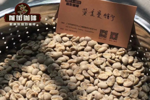 中烘手冲咖啡豆排行榜｜咖啡烘焙程度哪个适合新手入门？推荐新手友好的家庭冲煮用的优质单品咖啡豆