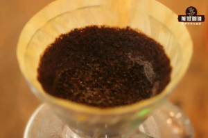 水温粉水比，把特色豆的风味冲出来