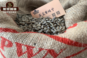 印尼曼特宁品种介绍｜PWN黄金曼特宁与林东曼特宁区别大吗？曼特宁咖啡豆风味口感特点如何描述