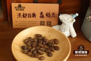 想用摩卡壶复刻Dirty和澳白？照着心仪饮品反推风味就对了