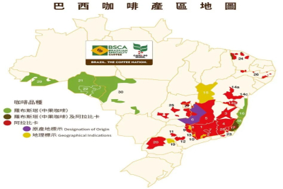 巴西咖啡主要产区｜巴西咖啡生豆分级标准是什么？巴西咖啡豆口感如何描述？