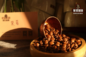 喜欢花果香的咖啡豆推荐怎么挑：先看场景，再看风味和烘焙