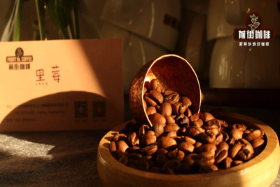 喜欢花果香的咖啡豆推荐怎么挑：先看场景，再看风味和烘焙