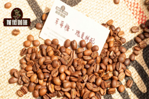 一杯加不加奶，SOE豆子这样挑