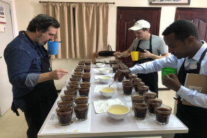 摩卡壶精品咖啡豆：看懂产区与处理法