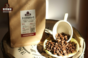 家庭冷萃怎么做：黑咖啡与奶咖选豆指南