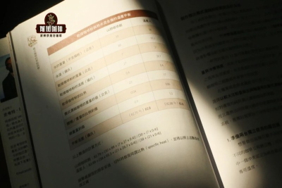 美式黑咖啡豆怎么选：从果香清爽到奶咖醇厚