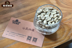 拆包豆子别只冲美式！搭牛奶走摩卡壶风味全开，看日常喝法挑对豆