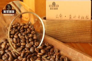SOE咖啡豆推荐：黑咖啡与奶咖怎么选