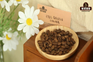 从清晨茉莉到日暮玫瑰，按着日常作息挑豆子轻松冲出满室花香