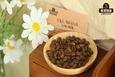 从清晨茉莉到日暮玫瑰，按着日常作息挑豆子轻松冲出满室花香