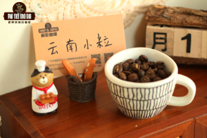 云南手冲咖啡豆｜云南小粒咖啡品质如何？咖啡迷喜爱的手冲冷萃冰滴用的云南高档次单品咖啡豆有哪些推荐