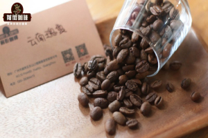 低酸耶加雪啡怎么喝，黑咖啡与奶咖各有答案